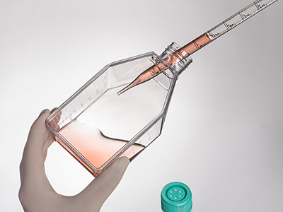 斜頸設(shè)計(jì)，易于傾倒，方便移 液管和細(xì)胞刮刀的進(jìn)出