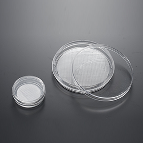 CellSCAFLD?3D細(xì)胞培養(yǎng)支架,球狀體和3D細(xì)胞培養(yǎng)