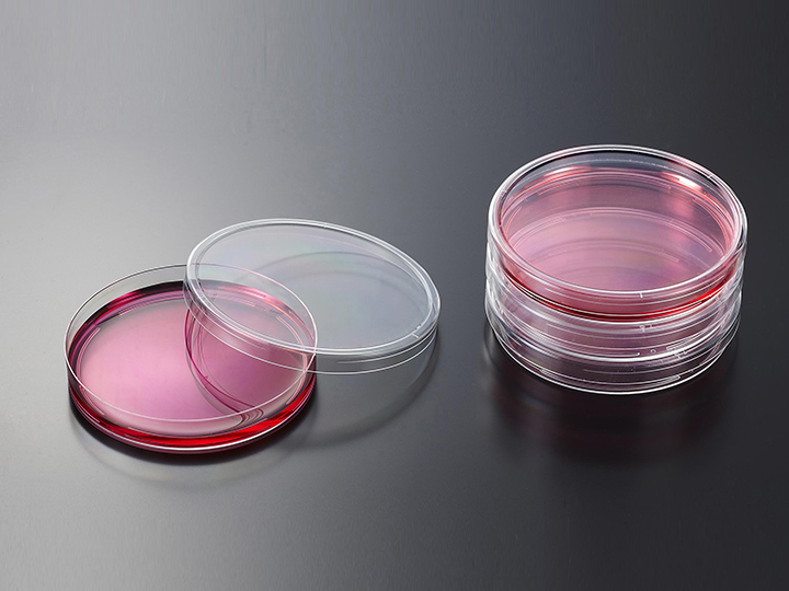 內頁720×540 拷貝1.jpg