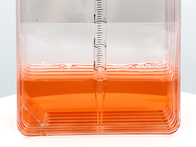 允許10mL移液管直接在瓶內(nèi)進(jìn)行液體吸取或收取細(xì)胞