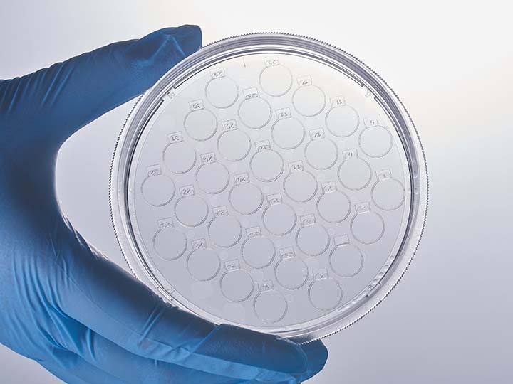 內(nèi)頁(yè)720×540 拷貝1.jpg