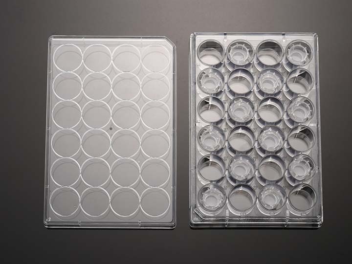 內(nèi)頁(yè)720×540 拷貝.jpg