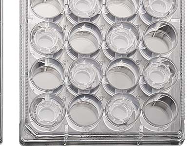 配有清晰的數(shù)字孔標(biāo)識(shí)，便于區(qū)分識(shí)別，方便記錄