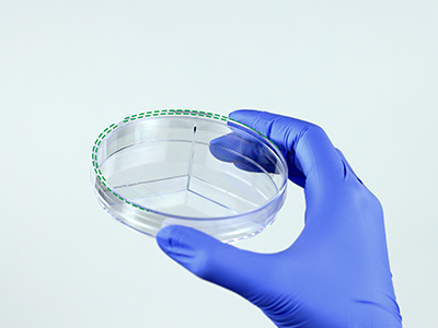 皿蓋邊緣突起設(shè)計(jì)，有利于培養(yǎng)皿穩(wěn)定疊放